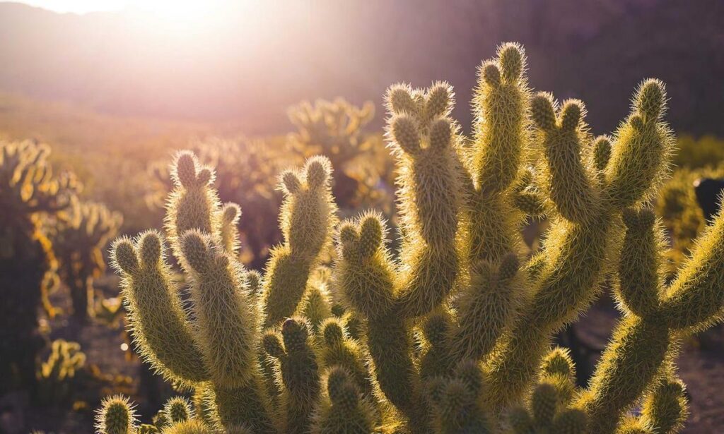 Gameplay Enhancement