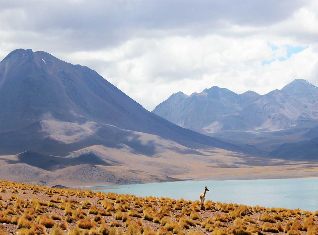 Pro Tips: How to Maximize Every Spin You Get