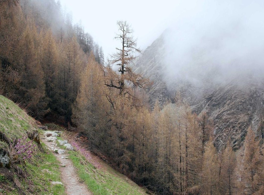 Decoding the Meme: What It Means When You See Homer Sleeping Upright