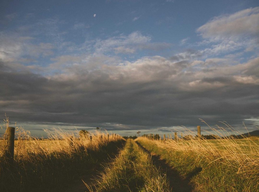 Context is Key: A Look at Leverkusen's Recent Performance