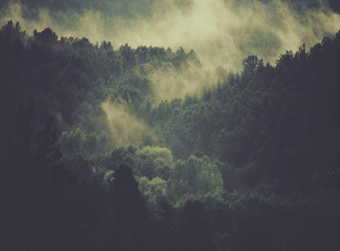 Decoding the Symbolism: Power, Fertility, and Survival