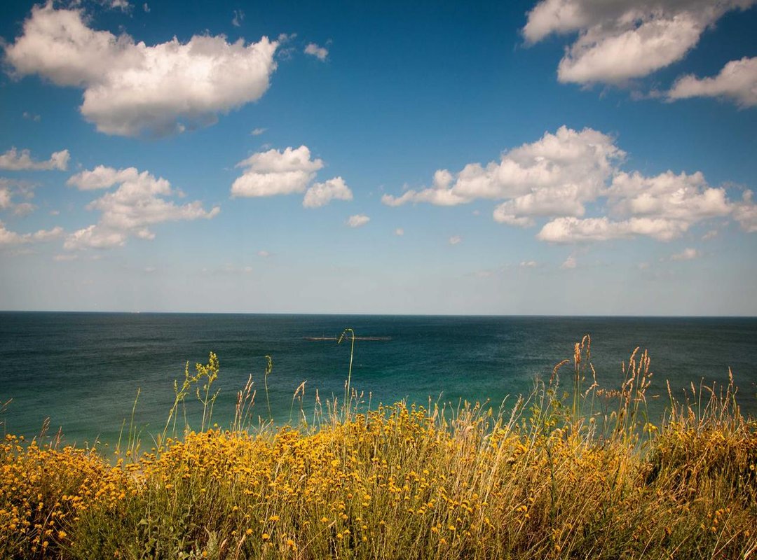 Getting Your 'Memory Reboot MP3 Download': A Simple Guide