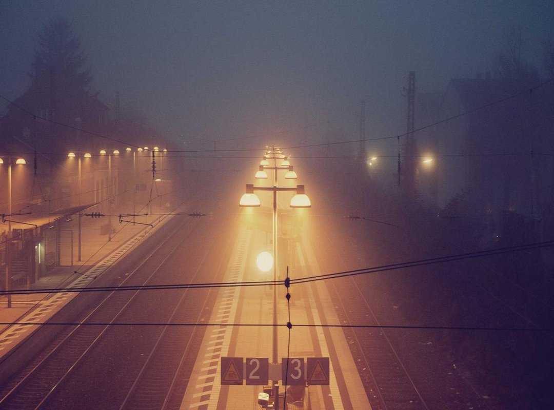 netnsw.det
