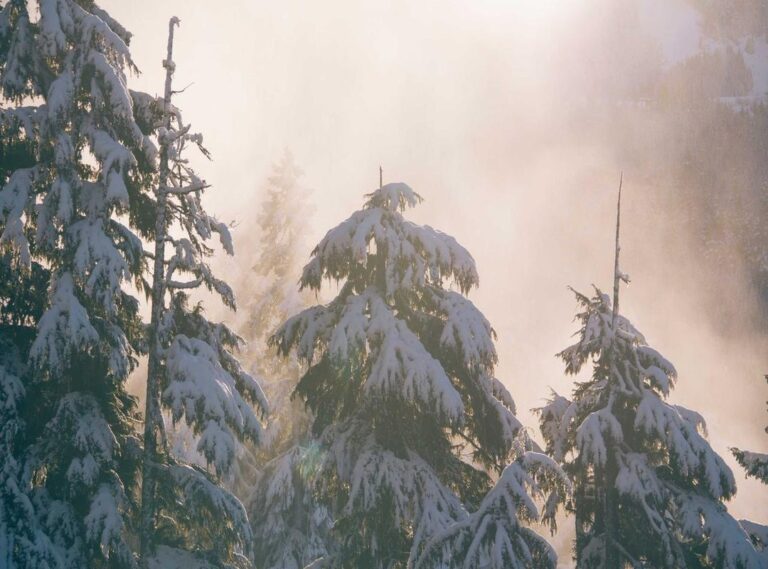 nurul nafisah sekarang