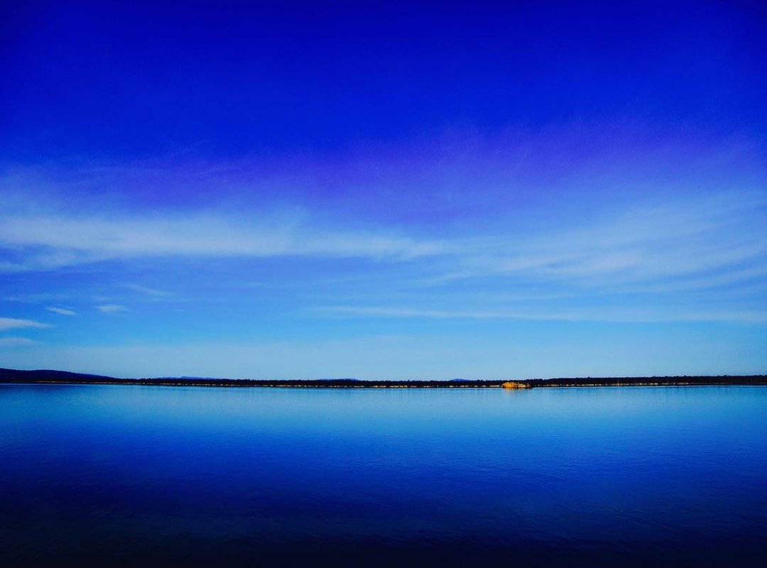 The Actor Behind the Character: Sharnaaz Ahmad's Intense Performance