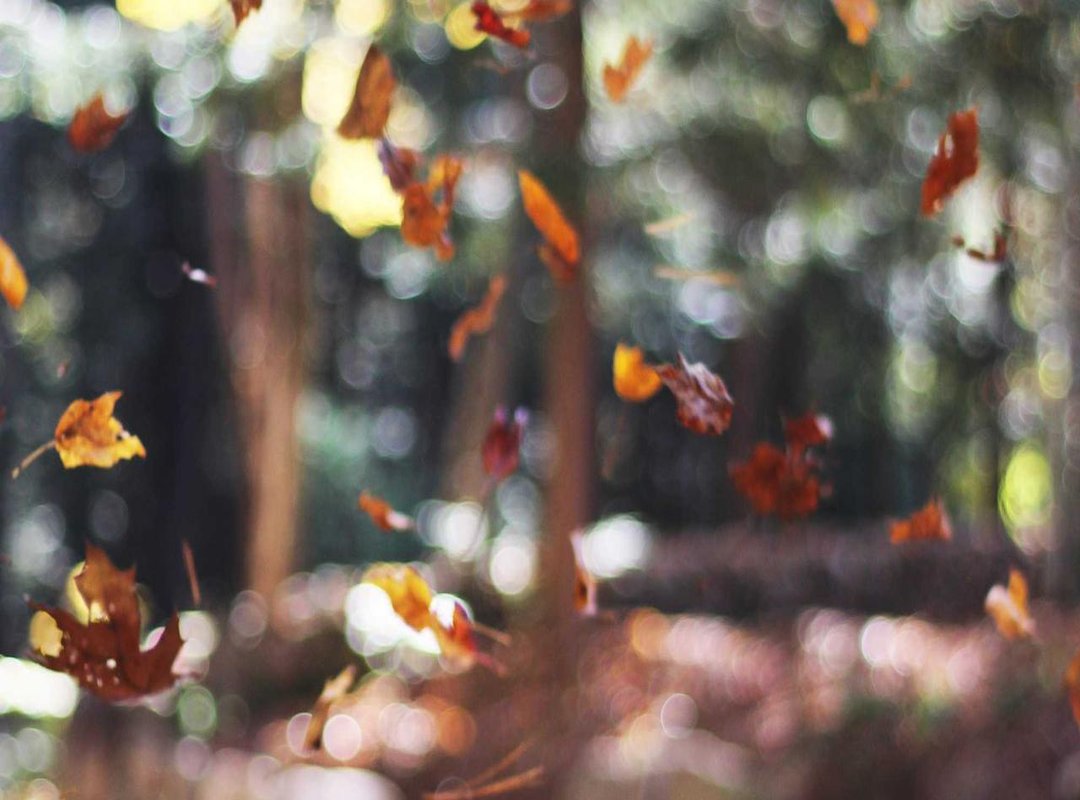 From Prison Cell to Global Phenomenon: The 'Burning Body' Effect