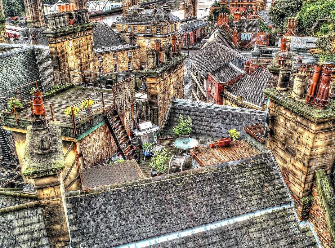 taila maddison newcastle