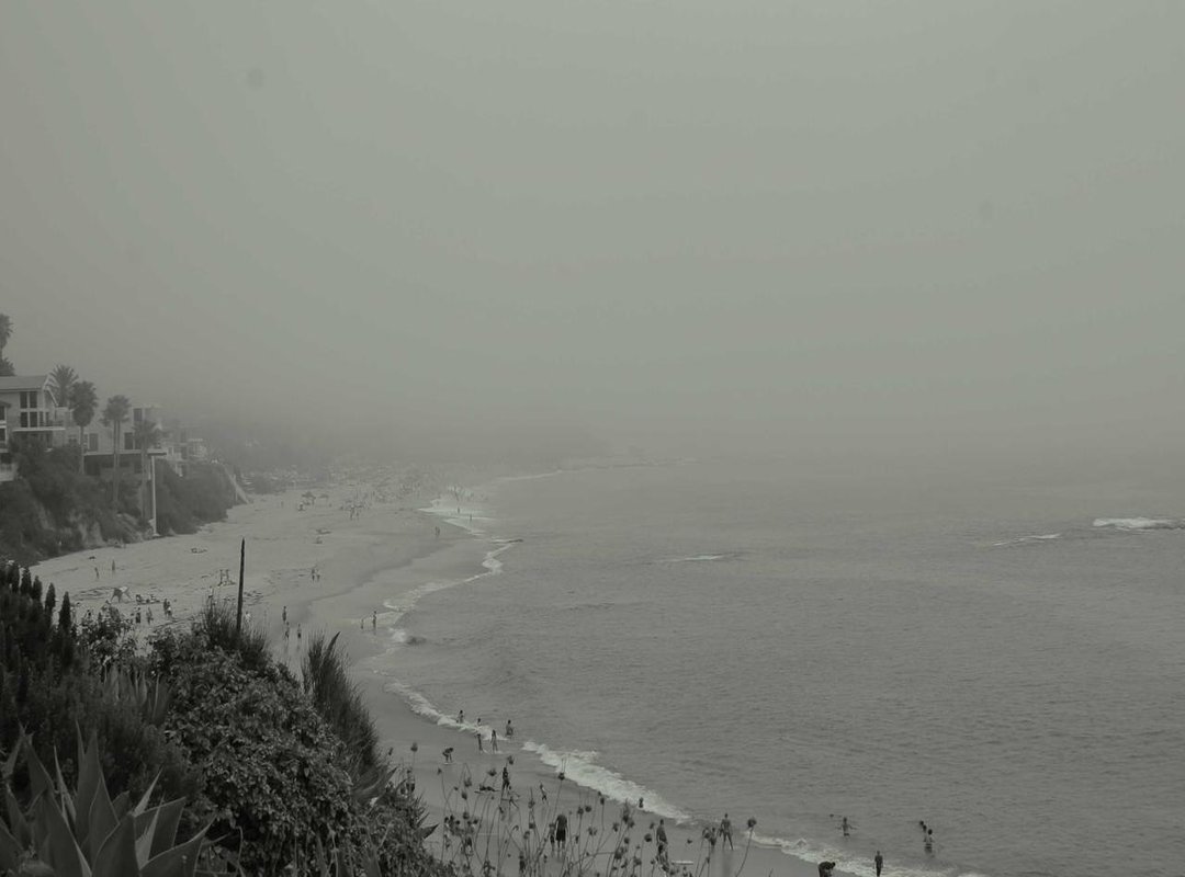 What You Get: Comparing Free vs. Premium Download Tiers