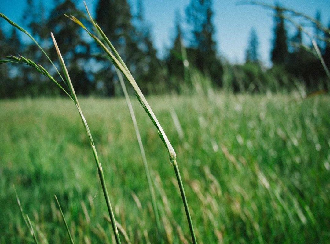 More Than a Pose: Why the Celebration Resonates So Deeply